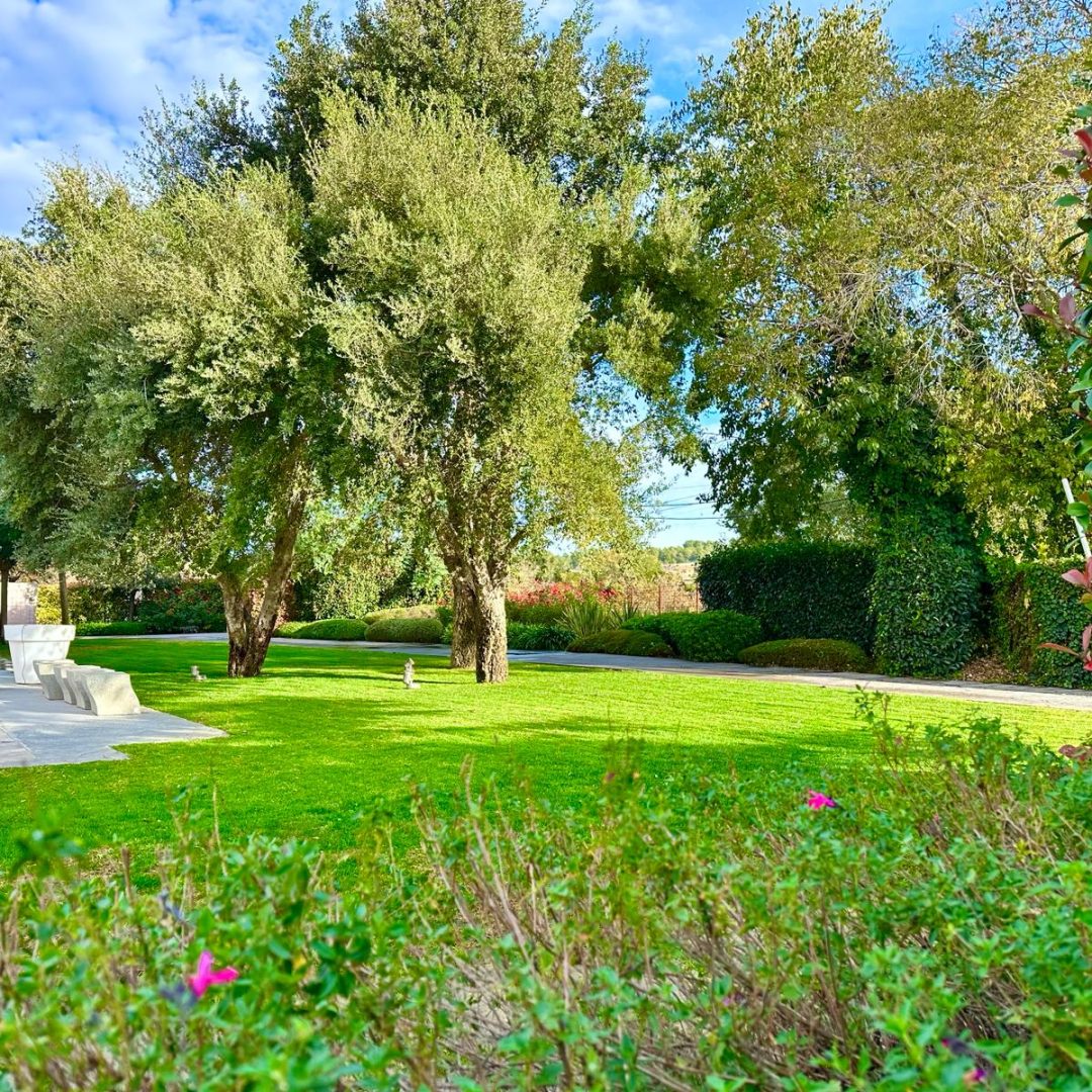 Jardín amplio con césped verde y árboles grandes. A la izquierda, hay una terraza pavimentada con bancos y mesas de piedra. El cielo está parcialmente nublado y hay vegetación variada alrededor.